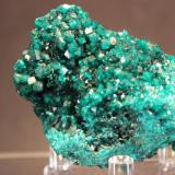 Dioptase
Karagandy Province, Kazakhstan
6.5 x 5.0 x 3.2 cm (Author: Don Lum)