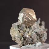 Pyrite, Quartz
Clear Creek County, Leavenworth Mountain, Colorado, USA
3.7 x 3.5 cm (Author: Don Lum)