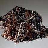 Rutile
Diamantina, Minas Gerais, Brazil
3.5 x 5.2 cm.
Lustrous, reddish brown, reticulated crystals to 2.5 cm. forming a thin plate. Collected in 2005. (Author: crosstimber)