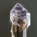 Quartz var amethyst, sceptre.
Sakangyi area, west of Mogok, Shan State, Burma.
23 mm. (Author: Ru Smith)