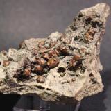 Copper
Clark Mine, Copper Harbor, Keweenaw County, Michigan, USA
11.5 x 6.5 x 4.3 cm (Author: Don Lum)