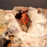 Wulfenite, Calcite, Limonite
Red Cloud Mine, Yuma County, Arizona, USA
10 x 8 cm (Author: Don Lum)