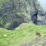 Allt Preshal Beg, Minginish, Isle of Skye, Scotland, UK
Looking down into the 500’ deep chasm of this little-known ’Heddle’ locality. (~160m deep). ’Allt’ means ’stream’ in Gaelic.
Photo taken 2006 (Author: Mike Wood)