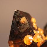 Spessartine, Quartz (var Smoky Quartz)
Wuhan Spessartine Mine,Tongbei, Fujian Province, China
6.2 x 4.5 cm
Spessartine Garnet on and included in Smoky Quartz (Author: Don Lum)