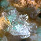 Rosasita, yeso y dolomita
Bou Bekker, Touissit, Touissit District, Oujda-Angad Province, Marruecos
60X
Detalle de un grupo de cristales del ejemplar anterior. (Autor: prcantos)