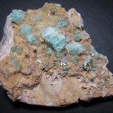 Rosasita, yeso y dolomita
Bou Bekker, Touissit, Touissit District, Oujda-Angad Province, Marruecos
6 x 5 cm.
Agregados de cristales verdes de rosasita recubieros por yeso incoloro sobre matriz de dolomita. (Autor: prcantos)