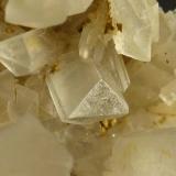 CelestinaUlea, Comarca Valle de Ricote, Región de Murcia (Murcia), España5 x 3,5 cm. (Autor: javier ruiz martin)