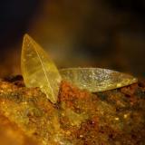 Wulfenita
Cortijo del Humo. Albuñuelas. Granada. Andalucía. España
Cristal de 2,1 mm (Autor: Oscar Fernandez)