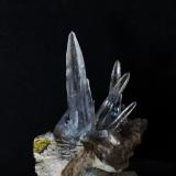 Celestina
Torà. Lérida. Cataluña. España
Cristal de 2,6 cm.
Este mineral no es micro pero la foto merece la pena ponerla con el resto (Autor: Oscar Fernandez)