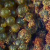 Beudantite with carminite.
Deer Hills, Caldbeck Fells, Cumbria, UK.
23 mm specimen. (Author: Ru Smith)