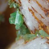 Pyromorphite on baryte.
Hungry Hushes, Arkengarthdale, North Yorkshire, England, UK
Detail of 6 cm specimen. (Author: Ru Smith)