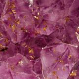 Quartz var. amethyst
Ametista do Sul, Alto Uruguai Region, Rio Grande do Sul, Brazil
14.1 x 24.5 cm. FOV=5.0 cm.
Part of a large plate of amethyst crystals, some of which are included with sprays of gold-colored goethite. (Author: crosstimber)