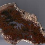 Agate
Scotland, UK
7 x 4cm (Author: James)