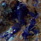Azurita
Mina Primitiva, Vizcaya, País Vasco, España
Encuadre de 2 cm (Autor: Cristalino)
