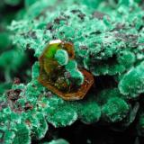 Wulfenite, Malachite
Qale-Zari Mine, South Khorasan Province, eastern Iran
Twined wulfenite crystals with balls of malachite, measuring 3.5 mm along the larger edge. (Author: vhairap)