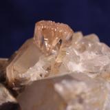 Topaz, Quartz, Mica, Albite
Yuno (Yunau, Yunas), Shigar Valley, Skardu District, Baltistan, Northern Areas, Pakistan
7.4 x 6.2 cm (Author: Don Lum)