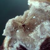 Millerite
Coed Ely Colliery, Coed Ely, Rhondda-Cynon-Taff, Wales, UK
Spray of bright millerite crystals to 15mm with a small ball of transparent red hydrocarbon at the centre. Collected April 1996 (Author: ian jones)