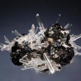 Sphalerite
Alimon Mine, Huaron, Pasco Dept., Peru
5.4 x 7.3 cm.
Lustrous black sphalerite crystals to 1.0 cm on edge associated with transparent needle quartz crystals. (Author: crosstimber)