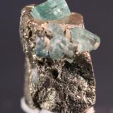 Beryl (var Emerald)
Muzo Mine, Boyaca, Colombia
13 x 12 mm (Author: Don Lum)