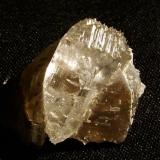 Topaz on Quartz
Lundy Island, Devon, England, UK
16mm x 13mm x 7mm (crystal)
Another thumbnail of gemmy colourless topaz crystal on smoky quartz. (Author: Mike Wood)