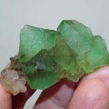 Fluorite and Quartz
Riemvasmaak, Northern Cape, South Africa
55 x 32 x 18 mm
Same as above. (Author: Pierre Joubert)