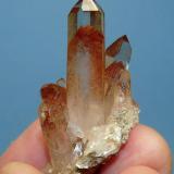 Quartz
Riemvasmaak, Northern Cape, South Africa
40 x 28 x 18 mm (Author: Pierre Joubert)