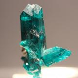 Dioptase
Kaokoveld Plateau, Kunene Region, Namibia
3.3 x 2.3 cm (Author: Don Lum)