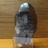 Smoky Quartz
Isle of Arran, Scotland, UK
90mm x 45mm x 30mm
A big one - with quite a lot of veils (bubble-trains or lines of bubbles), as the larger crystals tend to have. Self-collected. (Author: Mike Wood)
