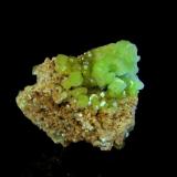 Pyromorphite
San Andrés Mine -  Espiel- Córdoba - Andalusia -  Spain
4,5x3,4cm.
Main cristals; 1,1 cm. (Author: DAni)