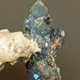 Bornite with quartz.
St Ives Consols, St Ives, Cornwall, England, UK.
36 mm specimen. (Author: Ru Smith)