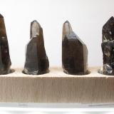 Smoky Quartz
Isle of Arran, Scotland, UK
59mm, 55mm, 54mm, 61mm
Length of crystals, from left to right.
Self-collected. (Author: Mike Wood)