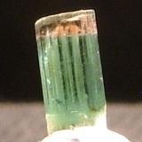 Tourmaline var. Elbaite
Glen Buchat, Grampian Region, Scotland, UK
4mm tall
Terminated red-cap blue elbaite. The crystal is blue but has appeared a bit green in the photo.
 Acquired in 2008. (Author: Mike Wood)