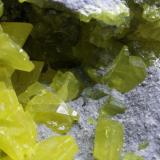 Azufre
El Aila, Laredo, Cantabria, España
16x13x14cm
cristales de hasta 3cm (Autor: PabloR)