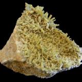 Pyromorphite
Santa Eufemia, Córdoba, Andalusia, Spain
5,5x5,1cm.
Main crystal: 0,7 cm. (Author: DAni)