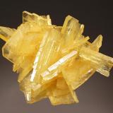 Barite
Nueva Esperanza, Puños, Huamalíes Province, Huánuco Department, Peru
5.3 x 7.7 cm.
Intergrown group of golden yellow tabular crystals to 3.3 cm on edge from the find in 2008. (Author: crosstimber)