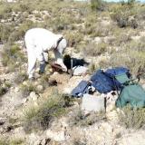 She uses a pick to remove larger quartz bearing rocks. (Author: Pierre Joubert)