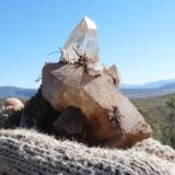 A nice group of crystals after removal. (Author: Pierre Joubert)