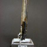 Stibnite
Ichinokawa mine, Saijo City, Ehime Prefecture, Shikoku Island, Japan
11.7 cm tall
A fine cluster of bright, lustrous, silvery stibnite crystals bearing characteristic striations and slight iridescence (more obvious in person) from this famous locality. The primary crystal is nicely terminated. Dating to the 1870s to 1880s. Ex. Dr. Frederick H. Pough and William W. Pinch Collections, with labels. (Author: Tim Blackwood)
