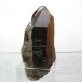 Smoky Quartz
Isle of Arran, Scotland, UK
76mm x 35mm x 26mm
same specimen as above showing interesting termination (Author: Mike Wood)