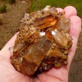 Quartz
Ceres, Western Cape, SA
hand for scale
Another specimen from the same pocket. (Author: Pierre Joubert)