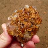 Quartz
Ceres, Western Cape, South Africa
hand for scale
Yet another partially cleaned specimen from the same pocket. (Author: Pierre Joubert)