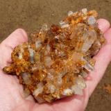 Quartz
Ceres, Western Cape, SA
Fingers for size
A partially cleaned specimen from the above pocket. (Author: Pierre Joubert)