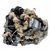 Cassiterite, siderite, quartz
Viloco Mine, Araca, Loayza, La Paz, Bolivia
 60 mm x 47 mm x 39 mm. Largest cassiterite crystal: 15 mm wide (Author: Carles Millan)