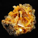 Wulfenite
Erupcion/Ahumada Mine, Los Lamentos District, Sierra de Los Lamentos, Municipio de Ahumada, Chihuahua Mexico
68 x 47 x 45 mm
up to 16 mm Wulfenites (Author: GneissWare)