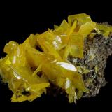 Wulfenite
Total Wreck Mine, Empire District, The Narrows, Empire Mts., Pima County, Arizona, USA
52 x 43 x 23 mm
up to 23 mm Wulfenites (Author: GneissWare)