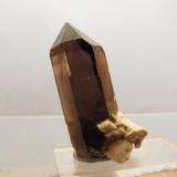 Smoky Quartz + Microcline
Isle of Arran, Scotland, UK
30mm x 11mm x 16mm
Same specimen as above (Author: Mike Wood)