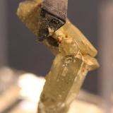 Anatase, Quartz, Chlorite
Kharan District, Baluchistan, Pakistan
27 x 15 mm (Author: Don Lum)