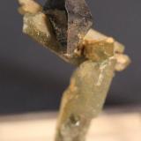 Anatase, Quartz, Chlorite
Kharan District, Baluchistan, Pakistan
27 x 15 mm (Author: Don Lum)