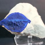 Azurite
Malbunka Copper Mine, Areyonga, Northern Territory, Australia
9.5 x 8.0 cm
Azurite Lips (Author: Don Lum)