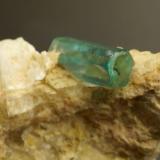 Apatite Group
Onh Bin Yee Htwet , Le-Oo (Le U), northeast of Mogok, Burma (Myanmar).
9 mm crystal on 34 mm matrix. (Author: Ru Smith)